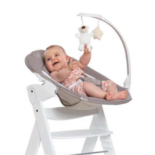 Hauck Alpha Bouncer Deluxe Babywippe -Roba Verkäufe 2024 4007923661840.pt13.alpha bouncer