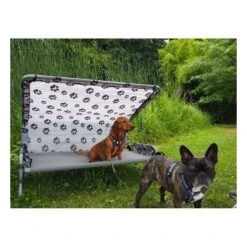 Dog-Bed L Das Camping Hundebett Von Disc-O-Bed Mit Sonnendach Belastbar Bis 91 Kg -Roba Verkäufe 2024 60001 p7180202