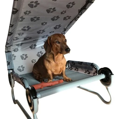 Dog-Bed S Das Camping Hundebett Von Disc-O-Bed Mit Sonnendach Belastbar Bis 91 Kg -Roba Verkäufe 2024 60003 dog bed s fg 8s