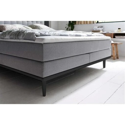 Meise Möbel Massello Boxspringbett 180 X 200 Cm Hellgrau Stoff - Inklusive Lieferung -Roba Verkäufe 2024 massello hellgrau 31 fuesse leisten schwarz ft detail 9227 17 fein gr 3